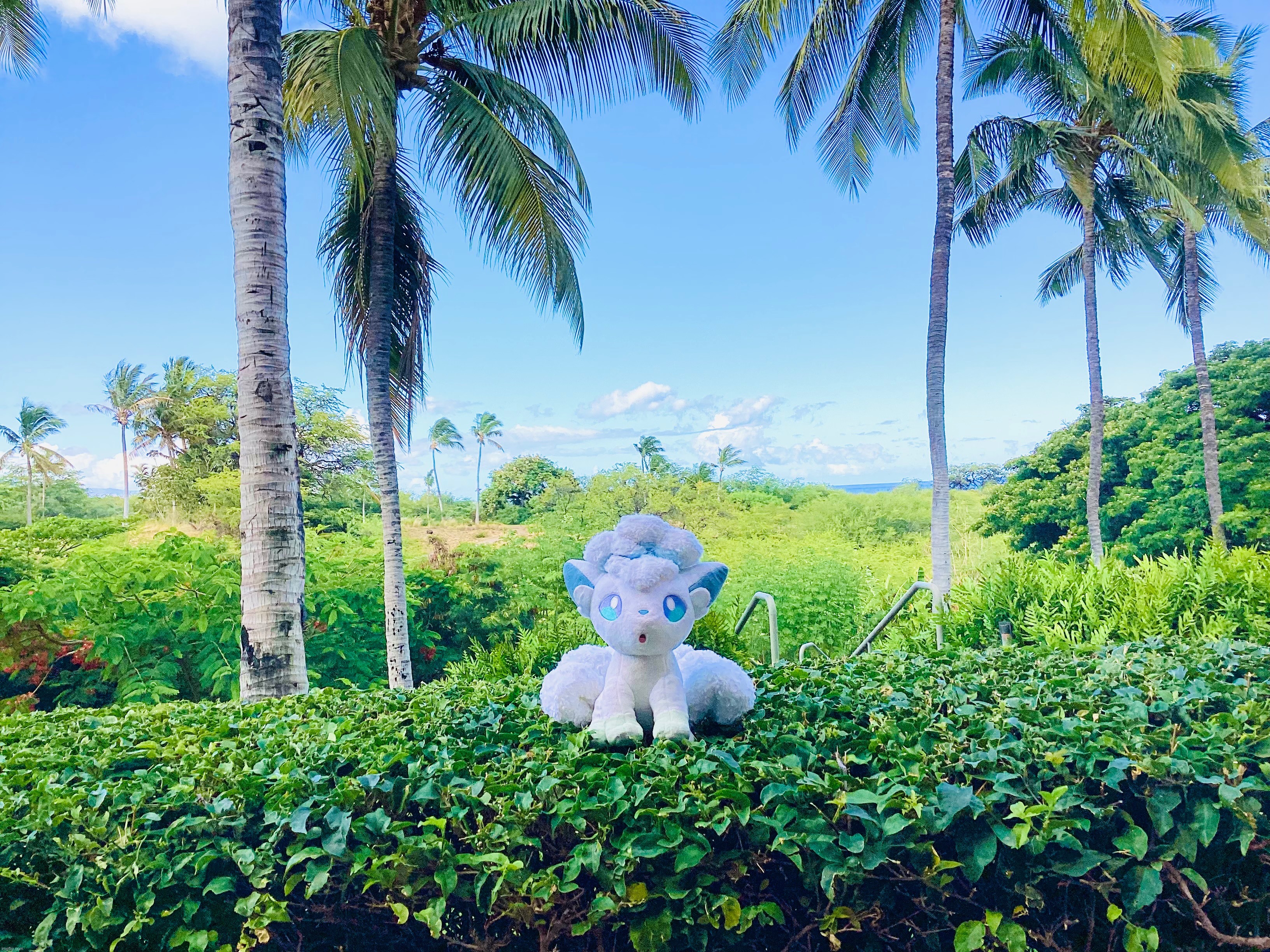 A wild Vulpix has appeared! | made w/ Imgflip meme maker