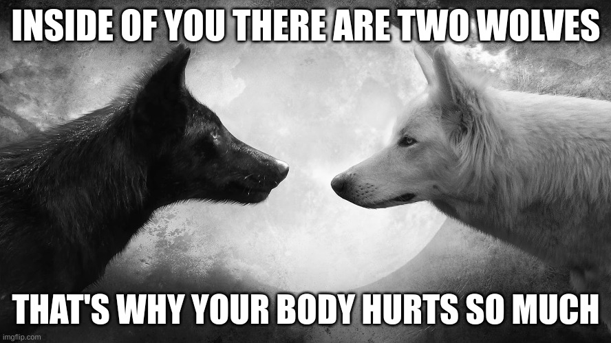 yes this is from matt rose | INSIDE OF YOU THERE ARE TWO WOLVES; THAT'S WHY YOUR BODY HURTS SO MUCH | image tagged in you have two wolves | made w/ Imgflip meme maker