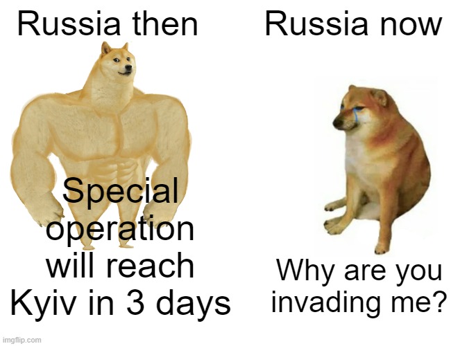 Buff Doge vs. Cheems Meme | Russia then; Russia now; Special operation will reach Kyiv in 3 days; Why are you invading me? | image tagged in memes,buff doge vs cheems | made w/ Imgflip meme maker