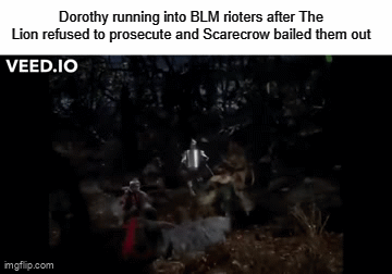 902tdu.gif