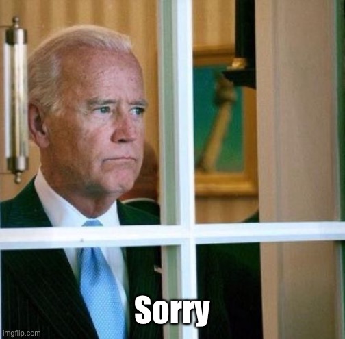 Sad Joe Biden | Sorry | image tagged in sad joe biden | made w/ Imgflip meme maker