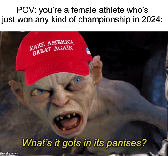 Creepy weirdos ruin women’s sports. | POV: you’re a female athlete who’s just won any kind of championship in 2024: | image tagged in gollum,lord of the rings,transphobic,olympics,republicans | made w/ Imgflip meme maker