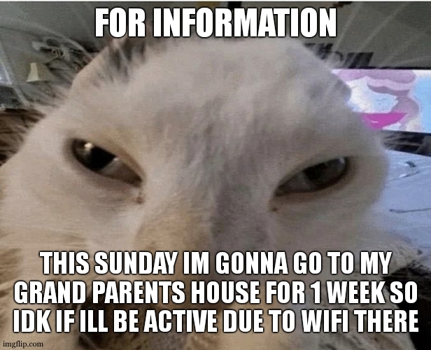 i swear i'll soon forget to make a title and the name of the temp will make a drama | FOR INFORMATION; THIS SUNDAY IM GONNA GO TO MY GRAND PARENTS HOUSE FOR 1 WEEK SO IDK IF ILL BE ACTIVE DUE TO WIFI THERE | made w/ Imgflip meme maker