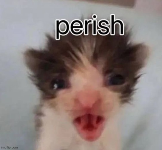 Perish | image tagged in perish | made w/ Imgflip meme maker