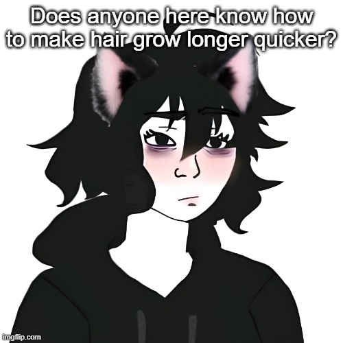 Catgirl wojak | Does anyone here know how to make hair grow longer quicker? | image tagged in catgirl wojak | made w/ Imgflip meme maker