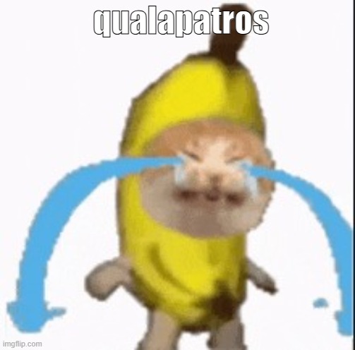Banana Cat Crying | qualapatros | image tagged in banana cat crying | made w/ Imgflip meme maker