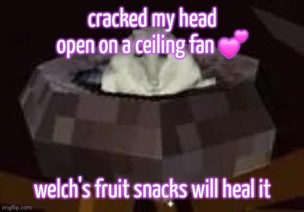 flor | cracked my head open on a ceiling fan 💕; welch's fruit snacks will heal it | image tagged in flor | made w/ Imgflip meme maker