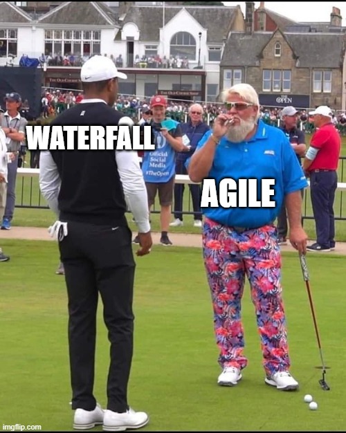 Project Management | WATERFALL; AGILE | image tagged in john daly and tiger woods | made w/ Imgflip meme maker