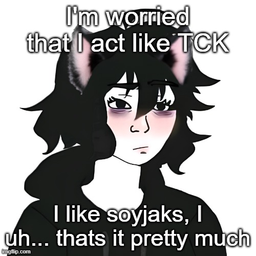 ion use soyjaks to be racist tho | I'm worried that I act like TCK; I like soyjaks, I uh... thats it pretty much | image tagged in catgirl wojak | made w/ Imgflip meme maker