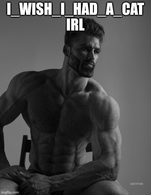 Giga Chad | I_WISH_I_HAD_A_CAT IRL | image tagged in giga chad | made w/ Imgflip meme maker