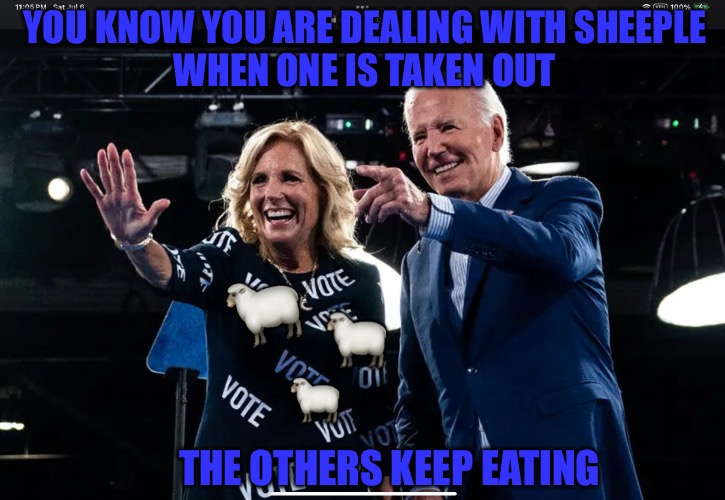 Silent Night | YOU KNOW YOU ARE DEALING WITH SHEEPLE 
WHEN ONE IS TAKEN OUT; 🐑; 🐑; 🐑; THE OTHERS KEEP EATING | image tagged in silent night,political meme,political memes,sheeple,deep state,biden | made w/ Imgflip meme maker