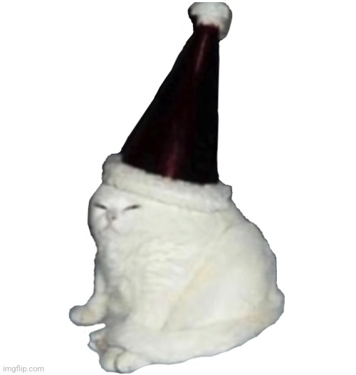 Eueueuueeu | image tagged in party hat cat,memes,funny | made w/ Imgflip meme maker