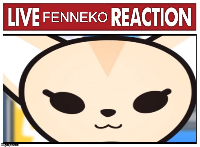 live fenneko reaction | image tagged in live fenneko reaction | made w/ Imgflip meme maker