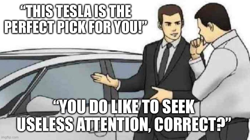 teslas ☹️ | “THIS TESLA IS THE PERFECT PICK FOR YOU!”; “YOU DO LIKE TO SEEK USELESS ATTENTION, CORRECT?” | image tagged in memes,car salesman slaps roof of car | made w/ Imgflip meme maker