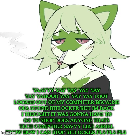 weed cat | YAAYYY YAY YAY YAY YAY YAY YAHOOO YAY YAY YAY I GOT LOCKED OUT OF MY COMPUTER BECAUSE OFA STUPID BITLOCKER BUT IM BACK I THOUGHT IT WAS GONNA HAVE TO GO TO SHOP DOES ANYONE THATS TECH COMPUTER SAVVY LIKE ASRIEL KNOW HOW I CAN STOP BITLOCKER PLS PLS PLS | image tagged in weed cat | made w/ Imgflip meme maker