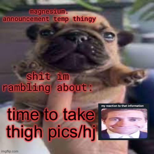 pug temp | time to take thigh pics/hj | image tagged in pug temp | made w/ Imgflip meme maker