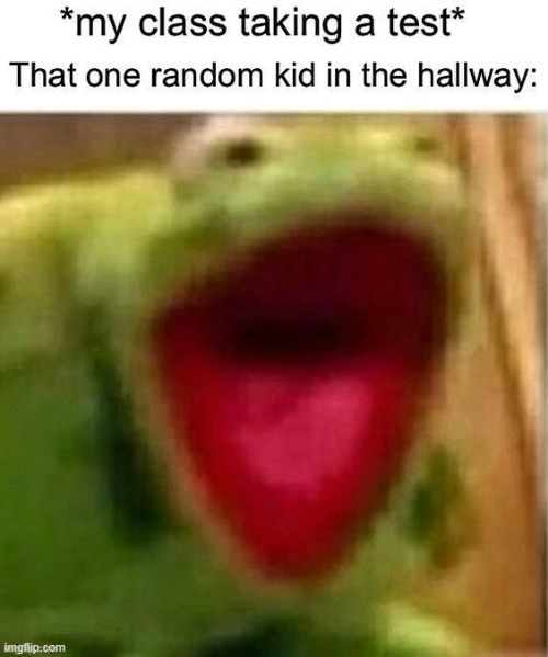 image tagged in kermit the frog,screaming,school,relateable,that one kid,test | made w/ Imgflip meme maker