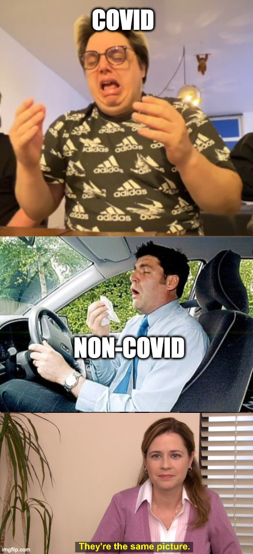 COVID NON-COVID | image tagged in ched sneeze,sneezing in a car,memes,they're the same picture | made w/ Imgflip meme maker