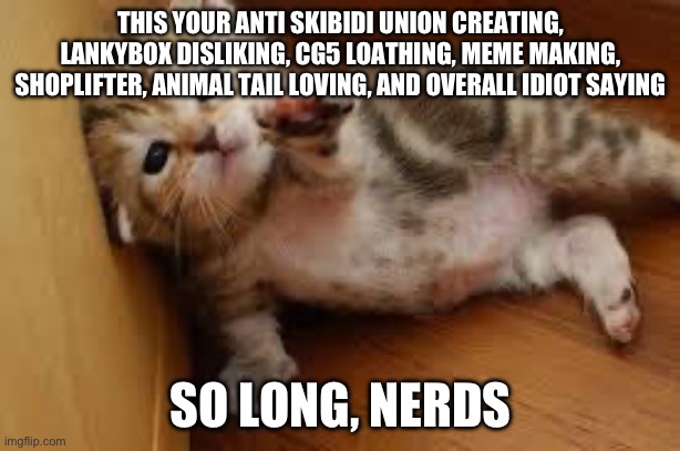 so long nerds | THIS YOUR ANTI SKIBIDI UNION CREATING, LANKYBOX DISLIKING, CG5 LOATHING, MEME MAKING, SHOPLIFTER, ANIMAL TAIL LOVING, AND OVERALL IDIOT SAYING; SO LONG, NERDS | image tagged in sad kitten goodbye,so long nerds,goodbye | made w/ Imgflip meme maker