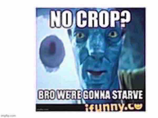 No crop? | image tagged in no crop | made w/ Imgflip meme maker