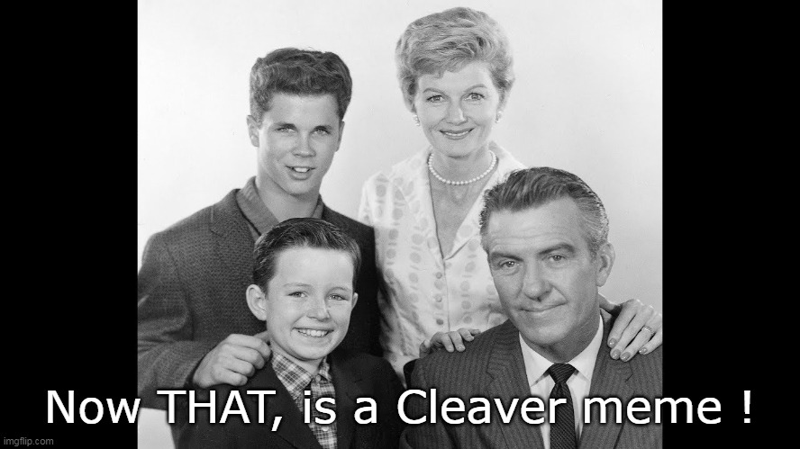 Now THAT, is a Cleaver meme ! | made w/ Imgflip meme maker