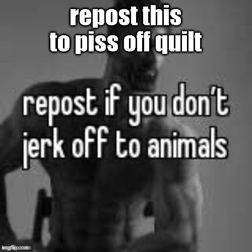 Repost if you don't | repost this to piss off quilt | image tagged in repost if you don't | made w/ Imgflip meme maker