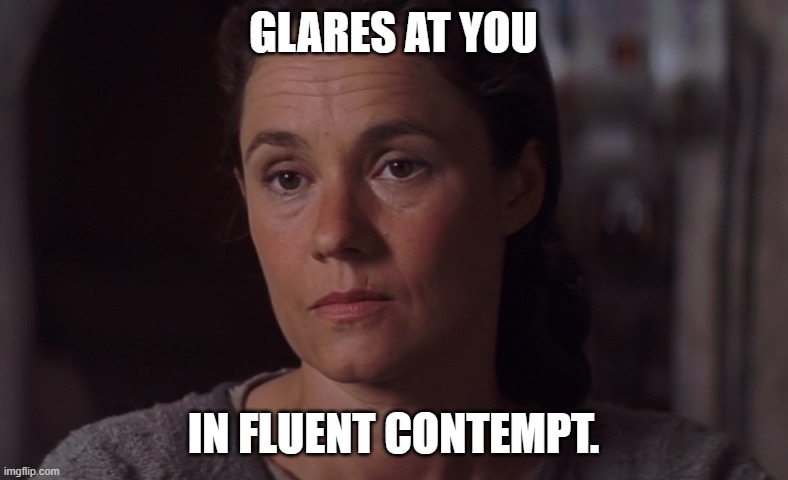 Dissapointed Shmi Skywalker | GLARES AT YOU IN FLUENT CONTEMPT. | image tagged in dissapointed shmi skywalker | made w/ Imgflip meme maker