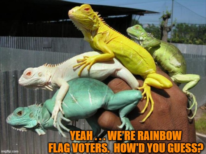 It was the hair part that gave it away. | YEAH . . . WE'RE RAINBOW FLAG VOTERS.  HOW'D YOU GUESS? | image tagged in yep | made w/ Imgflip meme maker