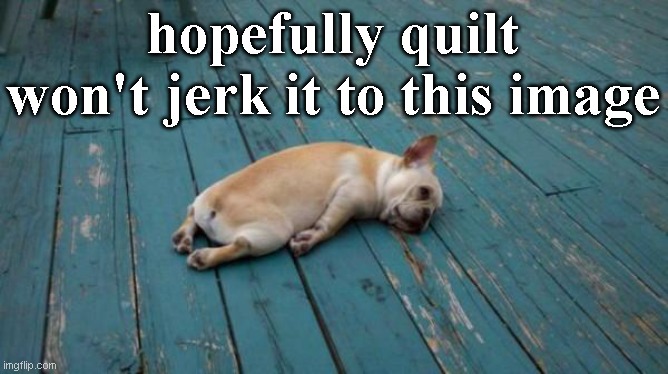 tired dog | hopefully quilt won't jerk it to this image | image tagged in tired dog | made w/ Imgflip meme maker