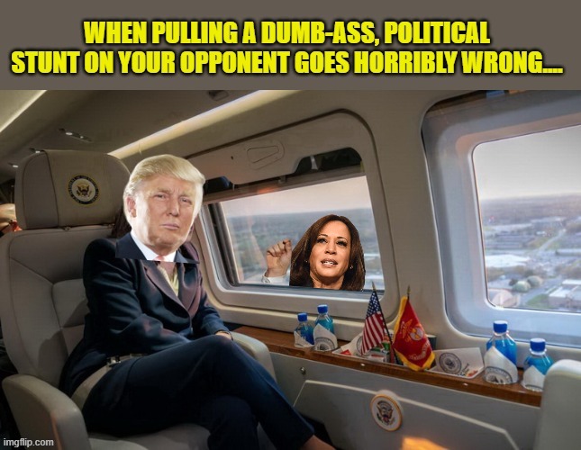 Try an original campaign idea, Kameltoe | image tagged in leftists,liberals,democrats,harris | made w/ Imgflip meme maker