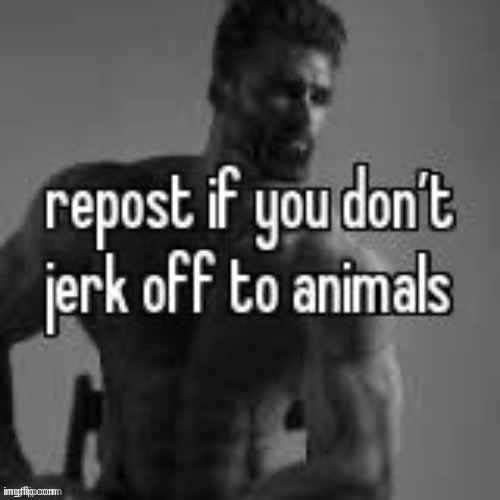 Repost if you don't | image tagged in repost if you don't | made w/ Imgflip meme maker