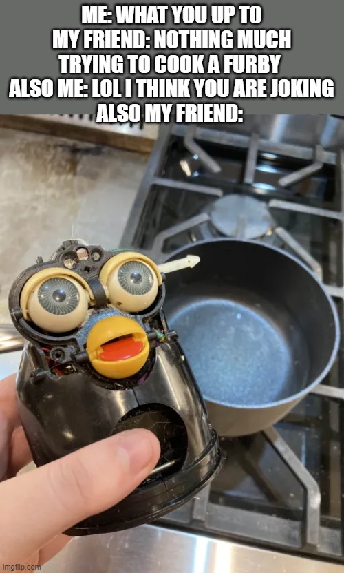 This true btw | ME: WHAT YOU UP TO
MY FRIEND: NOTHING MUCH TRYING TO COOK A FURBY 
ALSO ME: LOL I THINK YOU ARE JOKING
ALSO MY FRIEND: | made w/ Imgflip meme maker