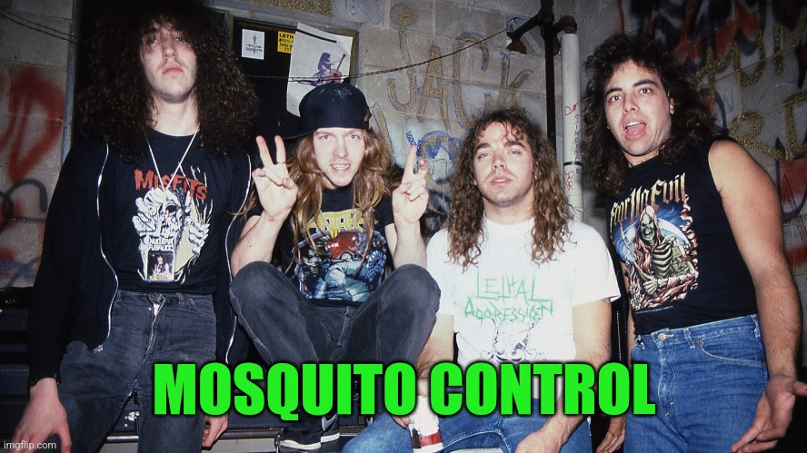 MOSQUITO CONTROL | made w/ Imgflip meme maker