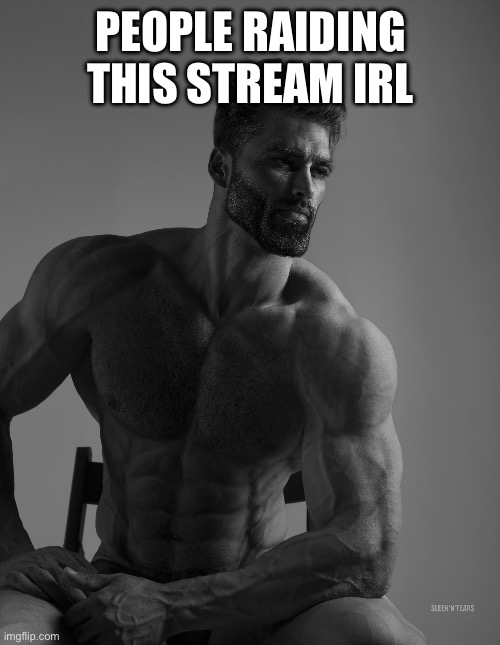 Giga Chad | PEOPLE RAIDING THIS STREAM IRL | image tagged in giga chad | made w/ Imgflip meme maker