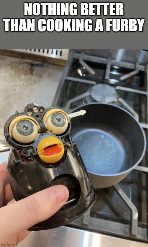 Cooking Furby | NOTHING BETTER THAN COOKING A FURBY | image tagged in cooking furby | made w/ Imgflip meme maker