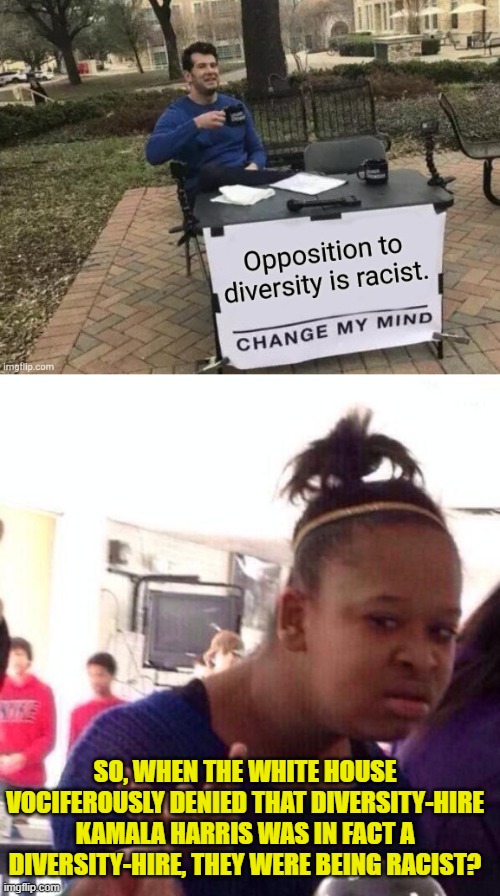 Some people need to stop and think these things through.  That's all I'm saying. | SO, WHEN THE WHITE HOUSE VOCIFEROUSLY DENIED THAT DIVERSITY-HIRE KAMALA HARRIS WAS IN FACT A DIVERSITY-HIRE, THEY WERE BEING RACIST? | image tagged in yep | made w/ Imgflip meme maker