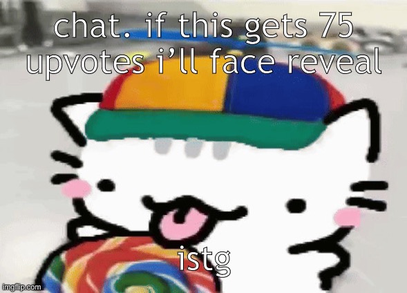 cat licking lollipop | chat. if this gets 75 upvotes i’ll face reveal; istg | image tagged in cat licking lollipop | made w/ Imgflip meme maker