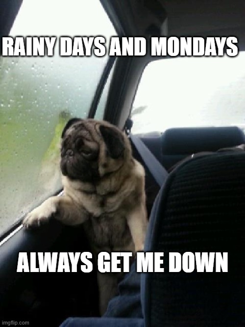 Introspective Pug | RAINY DAYS AND MONDAYS ALWAYS GET ME DOWN | image tagged in introspective pug | made w/ Imgflip meme maker