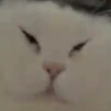 M A O  Z E D O N G  C A T Blank Meme Template