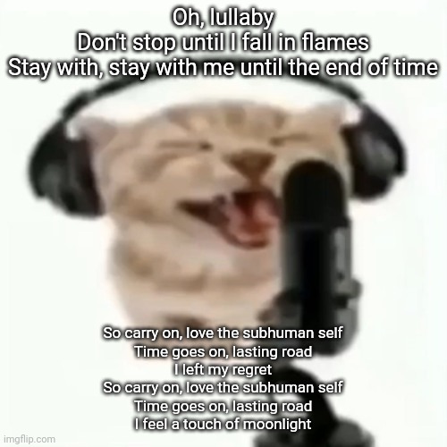 I may be addicted to this song | Oh, lullaby
Don't stop until I fall in flames
Stay with, stay with me until the end of time; So carry on, love the subhuman self
Time goes on, lasting road
I left my regret
So carry on, love the subhuman self
Time goes on, lasting road
I feel a touch of moonlight | image tagged in cat meow rap | made w/ Imgflip meme maker