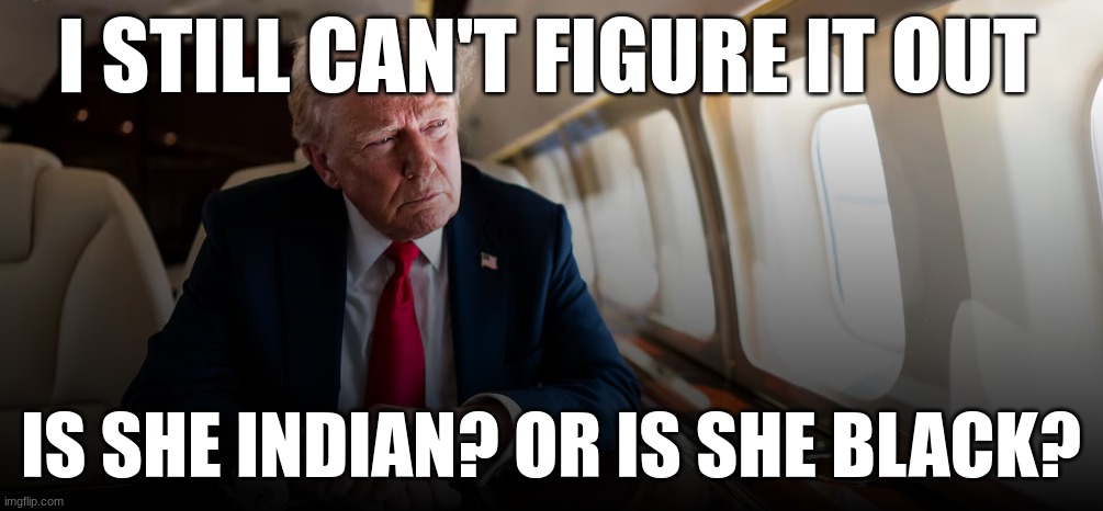 Mystery At The DNC | I STILL CAN'T FIGURE IT OUT; IS SHE INDIAN? OR IS SHE BLACK? | made w/ Imgflip meme maker