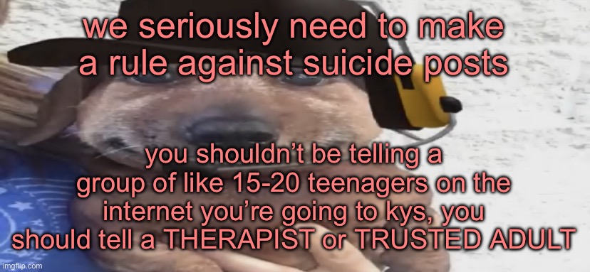 no disrespect, and i’m sorry you feel that way, but please don’t tell us of all people, it only causes fear | we seriously need to make a rule against suicide posts; you shouldn’t be telling a group of like 15-20 teenagers on the internet you’re going to kys, you should tell a THERAPIST or TRUSTED ADULT | image tagged in chucklenuts | made w/ Imgflip meme maker