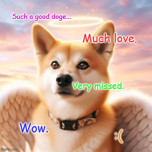 R.I.P Doge 2005 - 2024 | Such a good doge... Much love. Very missed. Wow. :( | made w/ Imgflip meme maker