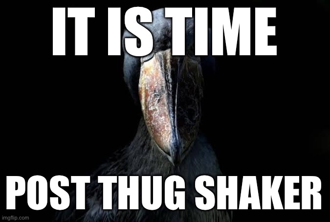 The W | IT IS TIME; POST THUG SHAKER | image tagged in the w | made w/ Imgflip meme maker