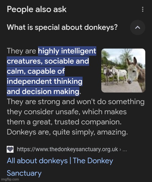 Hello Donkeys | made w/ Imgflip meme maker