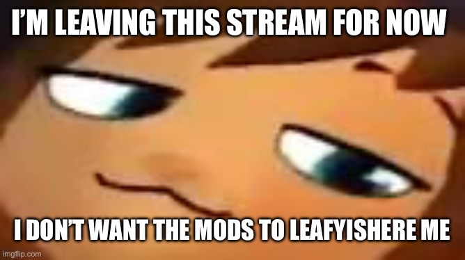 smug hat kid.mp4 | I’M LEAVING THIS STREAM FOR NOW; I DON’T WANT THE MODS TO LEAFYISHERE ME | image tagged in smug hat kid mp4 | made w/ Imgflip meme maker