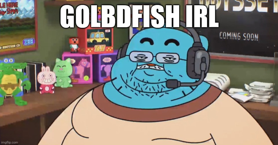 discord moderator | GOLBDFISH IRL | image tagged in discord moderator | made w/ Imgflip meme maker