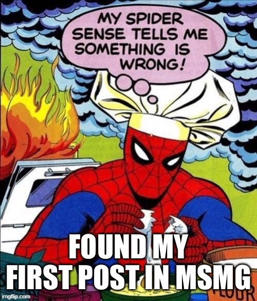 Bro it sucks | FOUND MY FIRST POST IN MSMG | image tagged in fire | made w/ Imgflip meme maker