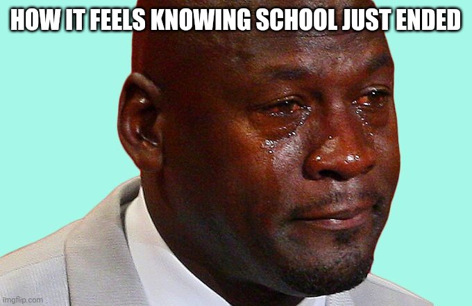 Shed the memories that you had in school | HOW IT FEELS KNOWING SCHOOL JUST ENDED | image tagged in sad face,memes,school,middle school | made w/ Imgflip meme maker