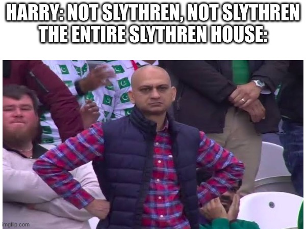 Sorry if Slythren is spelled wrong (mod note: *Slytherin) | HARRY: NOT SLYTHREN, NOT SLYTHREN
THE ENTIRE SLYTHREN HOUSE: | image tagged in disappointed man,harry potter | made w/ Imgflip meme maker